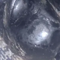 سنک قیمتی جهت تجارت