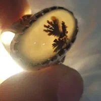 انگشتر شجر|جواهرات|اردبیل, |دیوار