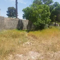 زمین ۱۰۰۰ متری جاده گلمکان