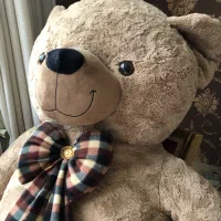 خرس بزرگ جنس خوب در حد نو|اسباببازی|زنجان, |دیوار