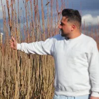 نهالستان پالیز نهال دارای مجوز جهاد کشاورزی