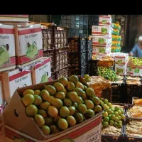 لیمو ترش .لیموشیرین