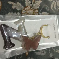 جاسوییچی رزینی