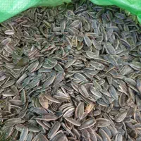 خشکبار