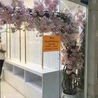 گل دکوراتیو شکوفه گیلاس|گل مصنوعی|گنبد کاووس, |دیوار