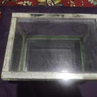 آکواریوم
