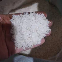 برنج خالص هاشمی