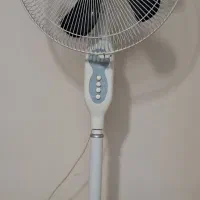 پنکه