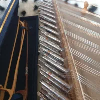 سنتور مارک زارعی با جعبه حمل