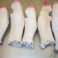 پاچه گاو