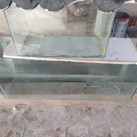 دوتا آکواریوم