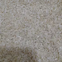 برنج عنبر بو