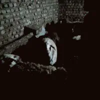 سلام ی راس میش ابستن|حیوانات مزرعه|زرین دشت (همدان), |دیوار