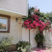 فروش یک واحد آپارتمان 100 متری|فروش آپارتمان|رشت, سلیمانداراب|دیوار