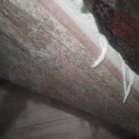 ۳ عدد فرش زیر قیمت به علت جا به جایی