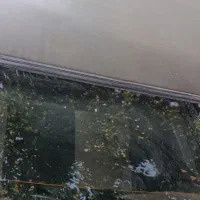 پژو 405مدل ۱۳۸۲|خودرو سواری و وانت|مشهد, شهید علی محمدی|دیوار