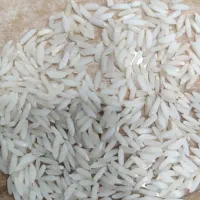 فروش برنج میانه.مستقیم ازکشاورز.عمده وخرده