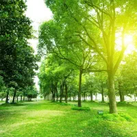 تدریس و کلاس معلم خصوصی ریاضی|خدمات آموزشی|کرمانشاه, |دیوار