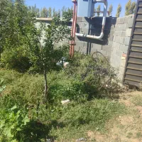 زمین 501متری در بیلوردی با تمام اقساطی