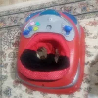 یک گهواره ویک روروک|اسباب و اثاث بچه|سنندج, |دیوار