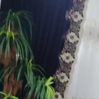 کنارپرده