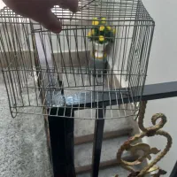 قفس|لوازم جانبی حیوانات|اسلام‌‌آباد غرب, |دیوار