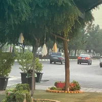 مغازه