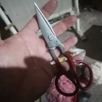 دار قالی با ابزار|فرش|شیراز, پودنک|دیوار