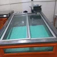 یخچال مرغی خوابیده