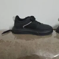 کفش|کیف، کفش، کمربند|شیراز, پودنک|دیوار