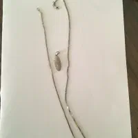 گردنبند و پلاک طلا