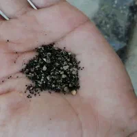 فقس و تمامی لوازم نگه داری طوطی سانان|لوازم جانبی حیوانات|فردوس (خراسان), |دیوار