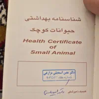 سگ فروشی|سگ|نیشابور, مدرس|دیوار