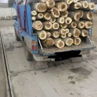 خرید و فروش انواع چوب و درخت