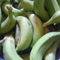 فروش صیفی جات ، تره بار