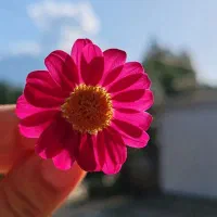 استاد آرماتور بندی