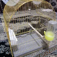 قفس پرنده|لوازم جانبی حیوانات|سنندج, |دیوار