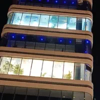 نیروی حرفه ای فورواردری و کریری