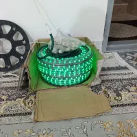 ریسه شلنگی