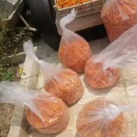 عسل انجیر گردو بادام آلو (مغز گردو) عمده و جزئی|خوردنی و آشامیدنی|مشهد, بلال|دیوار