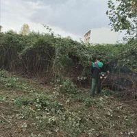 خدمات باغبانی وعلف تراشی زمین