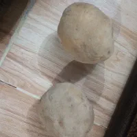 سیب‌زمینی مغززرد قوچان