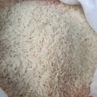 برنج هاشمی آستانه امساله