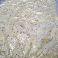 پخش کننده نان