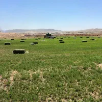 آبیار زمین کشاورزی ،سه نفر