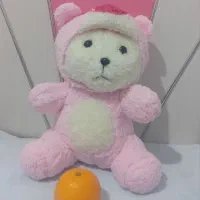 خرس کلاهدار|اسباببازی بچه|بروجرد, |دیوار