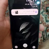 داریا باند ۱۱ رم ۸ حافظه ۲۵۶