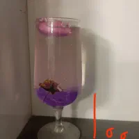 دکوری|مجسمه، تندیس، ماکت|زاهدان, |دیوار