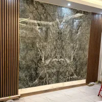 استخدام نیروی اسلبکاران گیلان