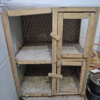 جفت کنی کفتر و پرنده